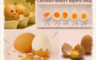 Все советы про яйца: сколько варить, как чистить и др.