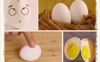 Как отличить вареное яйцо от сырого: 7 способов!