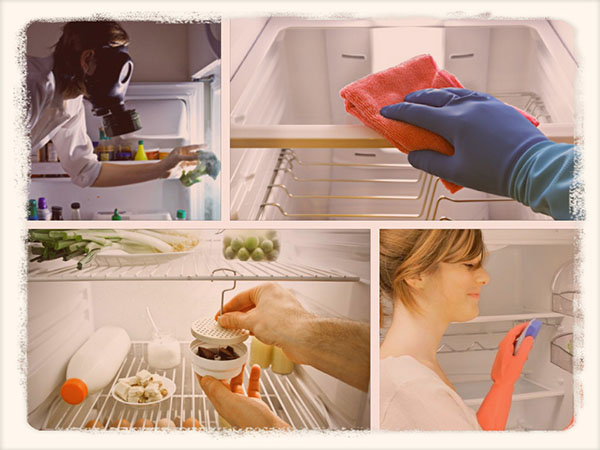 как убрать запах из холодильника в домашних условиях