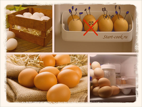 Срок хранения варенных и сырых яиц в холодильнике