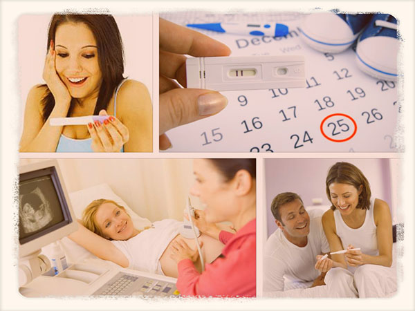 календарь беременности по акушерским неделям
