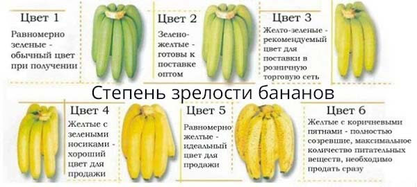 срок хранения бананов